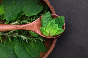 Menta