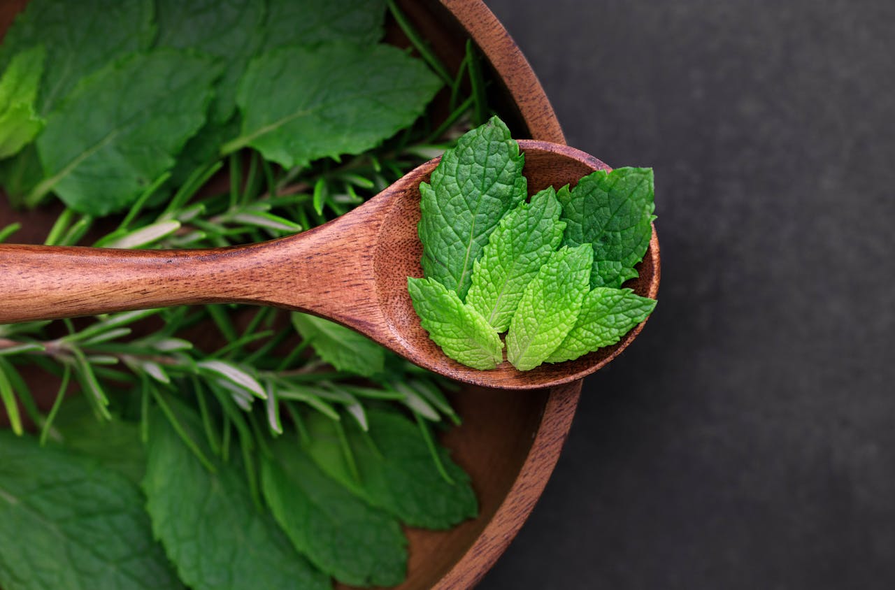 Menta